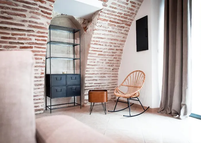 Le Rinaldi Loft * Albi