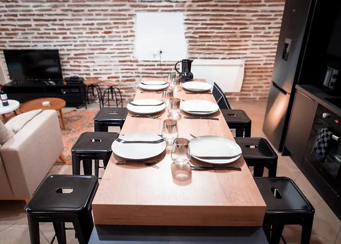 Le Rinaldi Loft * Albi