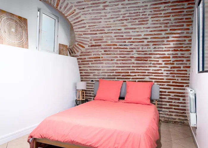 Le Rinaldi Loft Appartement Albi