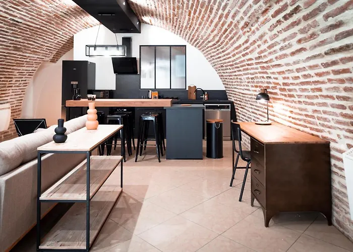 Le Rinaldi Loft Appartement Albi