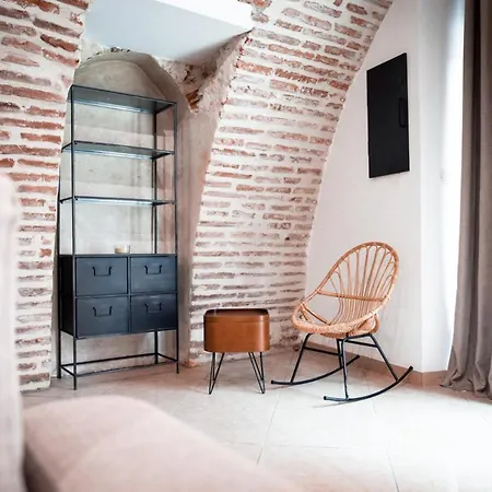Le Rinaldi Loft * Albi