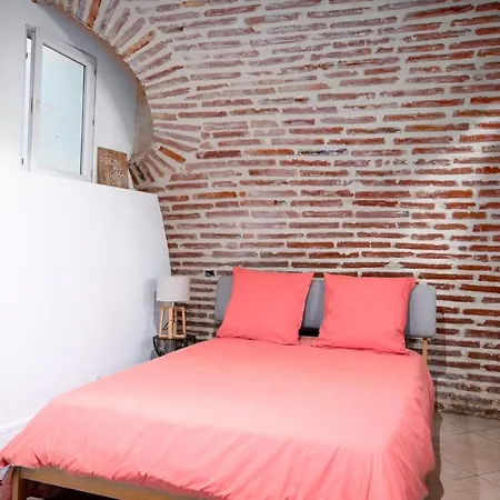 Le Rinaldi Loft Apartment Albi